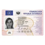 German Drivers License