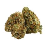 Jack Herer Strain